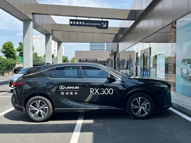 Lexus RX — Фото автомобиля 12