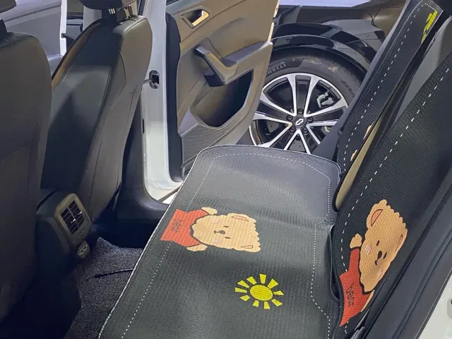 Volkswagen Tanying 2021 1.5L Automatic 30th Anniversary Edition — Фото автомобиля 5