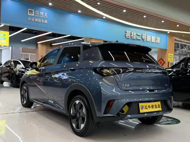 BYD Dolphin — Фото автомобиля 4