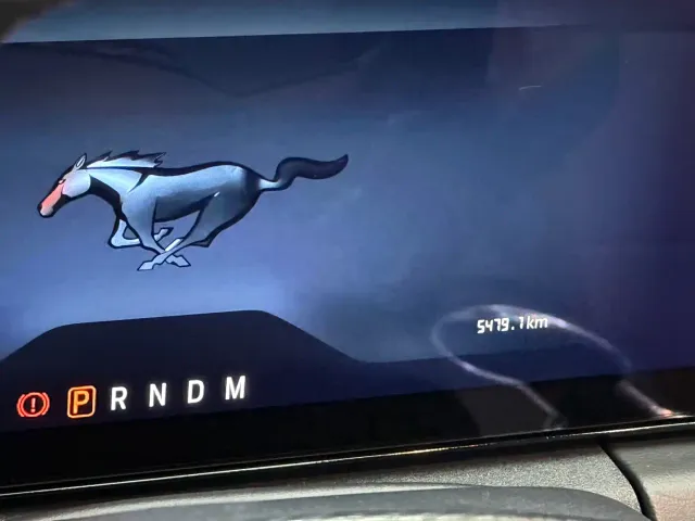 Ford Mustang — Фото автомобиля 9