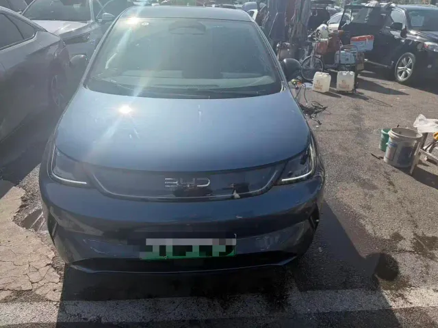 BYD Dolphin — Фото автомобиля 2
