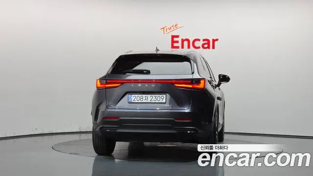 Lexus NX 2nd Gen — Фото автомобиля 4