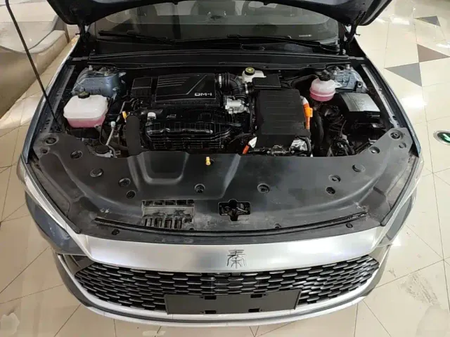 BYD Qin PLUS — Фото автомобиля 19
