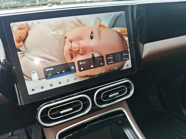 Leapmotor Leapmotor C11 2023 Pure Electric 500 Comfort Edition — Фото автомобиля 9