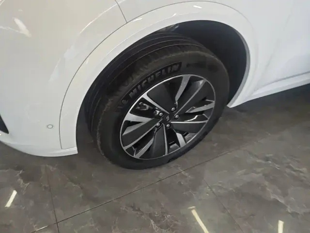 Li Auto L8 — Фото автомобиля 22