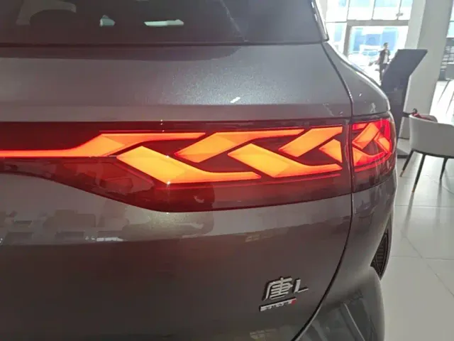 BYD Tang L — Фото автомобиля 7