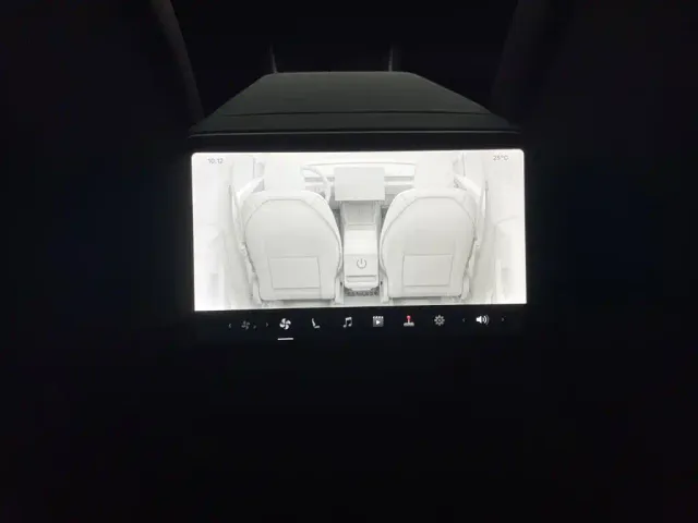 Tesla Model Y — Фото автомобиля 13
