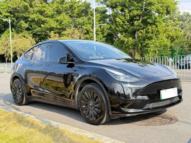 Tesla Model Y — Фото автомобиля 3