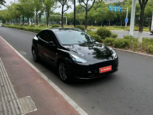 Tesla Model Y — Фото автомобиля 2