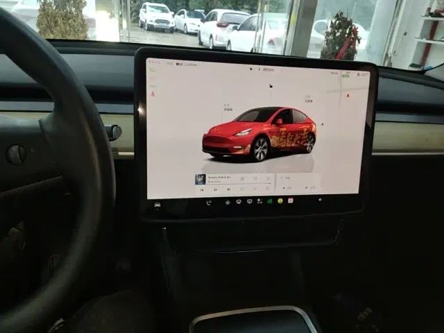 Tesla Model Y — Фото автомобиля 12
