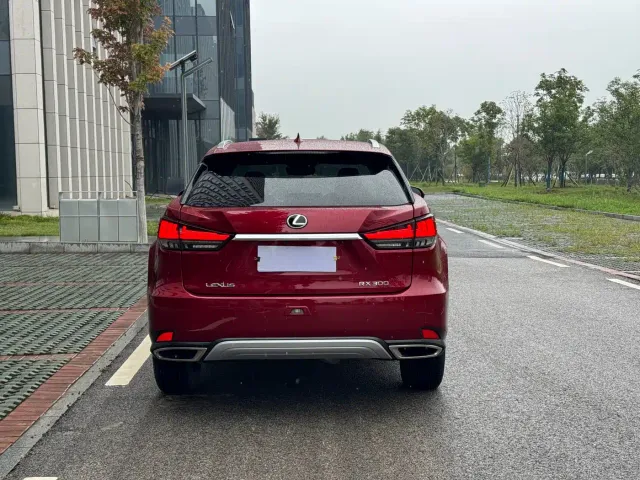 Lexus RX — Фото автомобиля 5