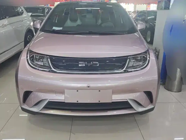 BYD Dolphin — Фото автомобиля 2