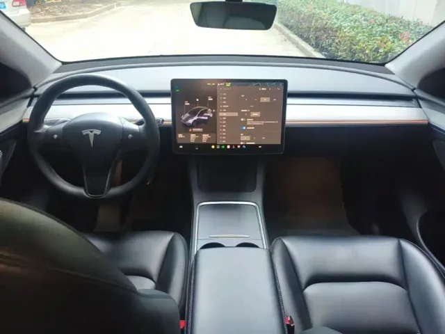 Tesla Model Y — Фото автомобиля 9