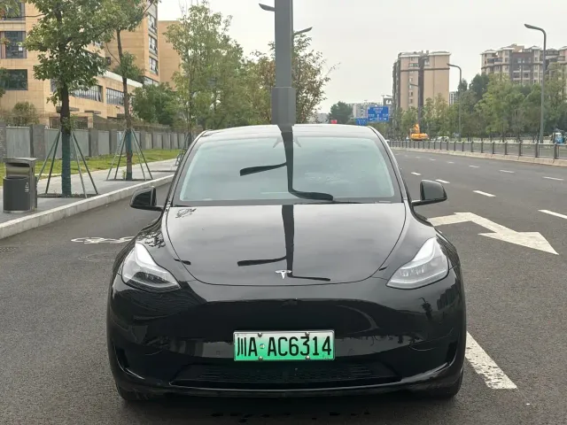 Tesla Model Y — Фото автомобиля 2