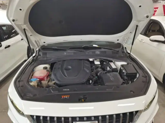 Geely Xingrui — Фото автомобиля 19