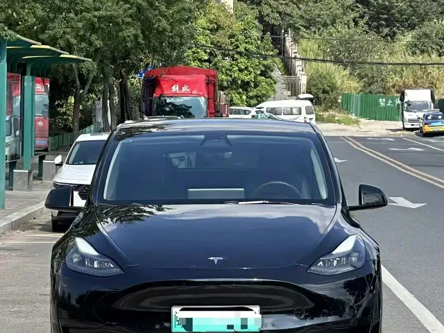 Tesla Model Y — Фото автомобиля 2