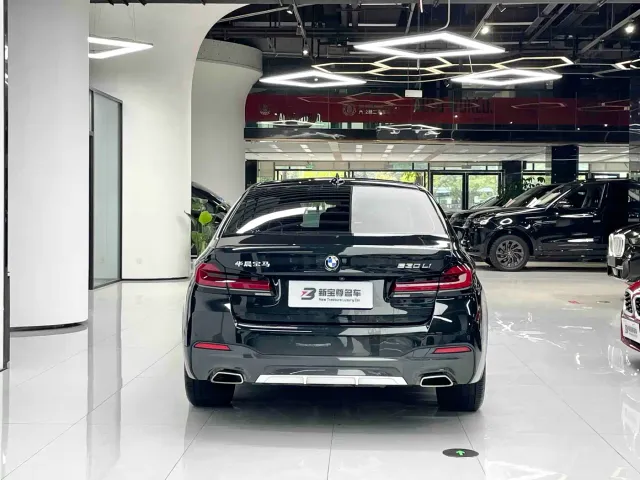 BMW 5 Series — Фото автомобиля 17