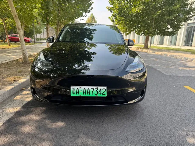 Tesla Model Y — Фото автомобиля 2