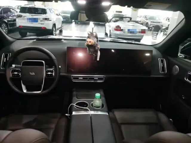 Li Auto L8 — Фото автомобиля 6