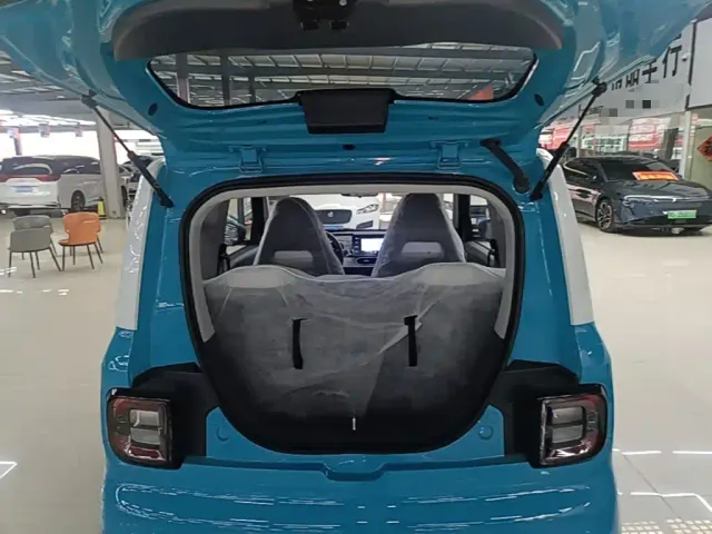 Livan Ruilan Blue Elf — Фото автомобиля 18