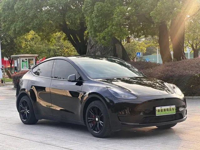 Tesla Model Y — Фото автомобиля 3