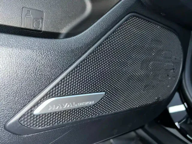Haval Big Dog — Фото автомобиля 21
