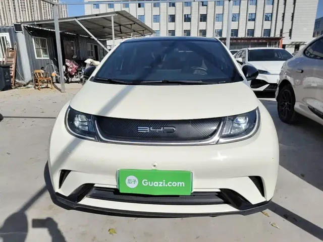 BYD Dolphin — Фото автомобиля 2