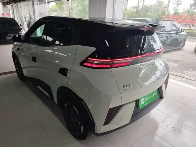 BYD Seagull 2025 Smart Drive Edition 305km Freedom Version — Фото автомобиля 4