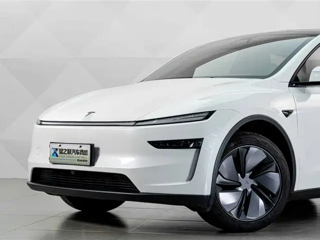Tesla Model Y — Фото автомобиля 4