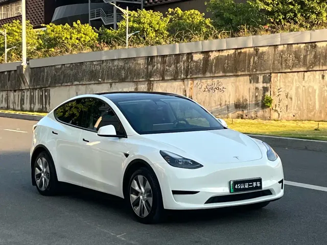 Tesla Model Y — Фото автомобиля 2