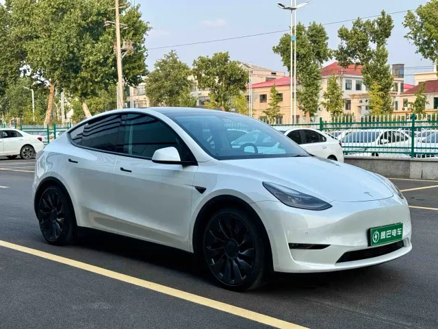 Tesla Model Y — Фото автомобиля 3