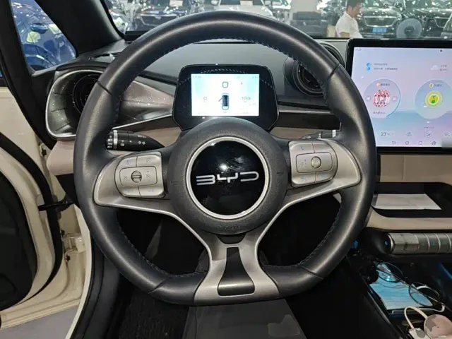 BYD Dolphin — Фото автомобиля 10