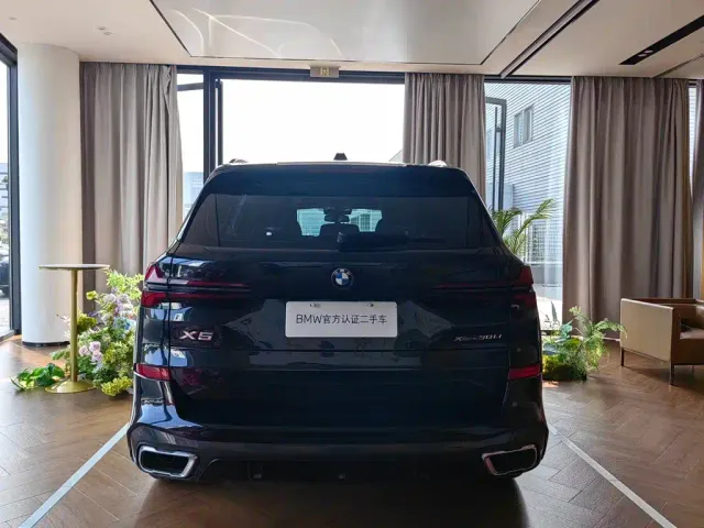 BMW BMW X5 2023 xDrive 30Li Premium M Sport Black Night Package — Фото автомобиля 5