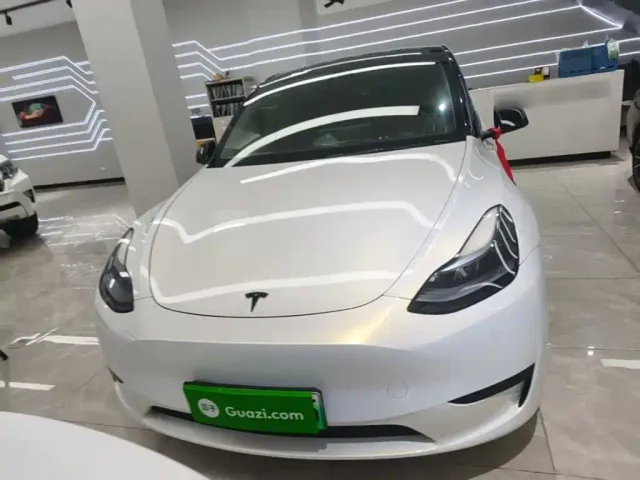 Tesla Model Y — Фото автомобиля 2