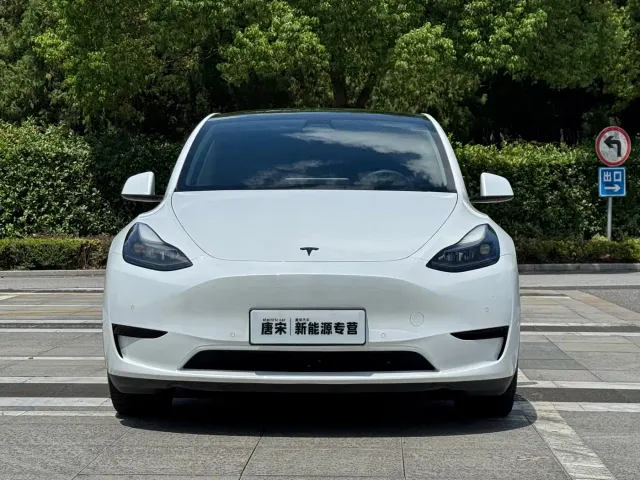 Tesla Model Y — Фото автомобиля 2