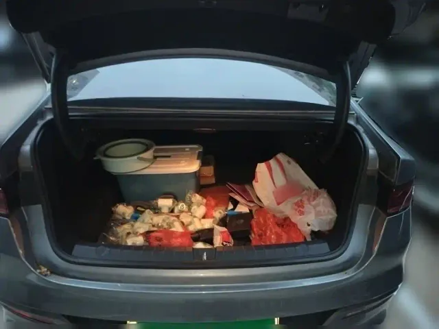 BYD Qin PLUS — Фото автомобиля 9