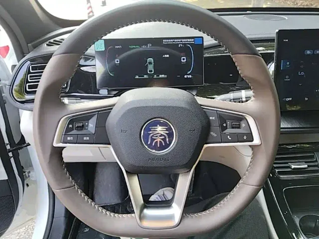 BYD Qin PLUS — Фото автомобиля 10