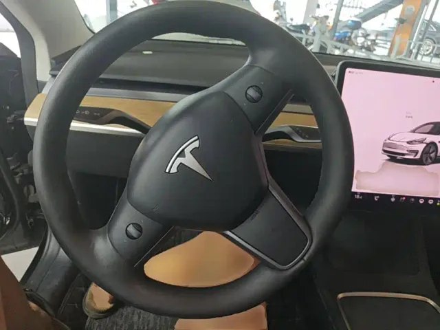 Tesla Model 3 — Фото автомобиля 10
