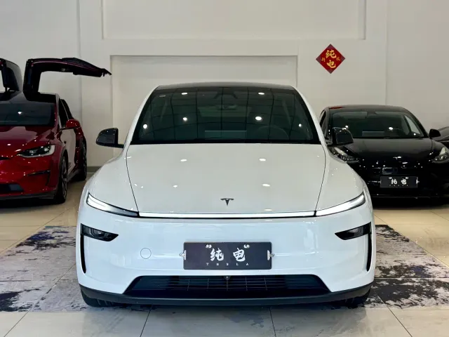 Tesla Model Y — Фото автомобиля 2