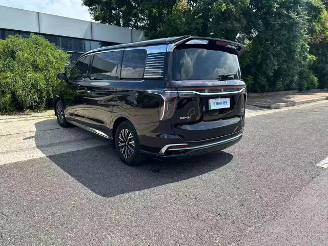 Hongqi HQ9 PHEV — Фото автомобиля 24