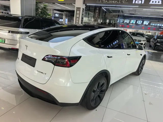 Tesla Model Y — Фото автомобиля 17