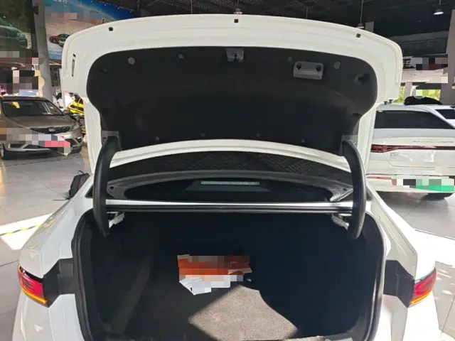 BYD Qin PLUS — Фото автомобиля 18