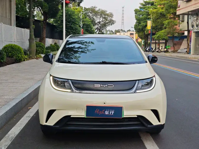BYD Dolphin — Фото автомобиля 2