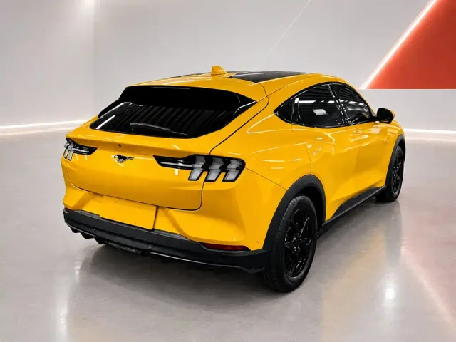 Ford Mustang Mach-E — Фото автомобиля 6