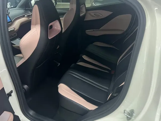 BYD Seagull — Фото автомобиля 6