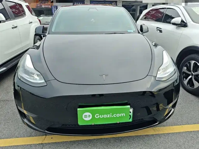 Tesla Model Y — Фото автомобиля 2
