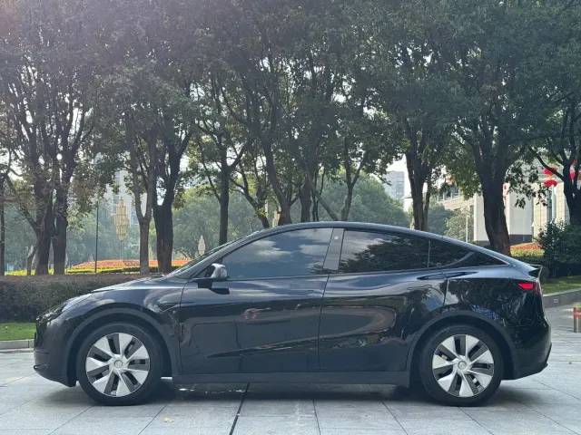 Tesla Model Y — Фото автомобиля 2