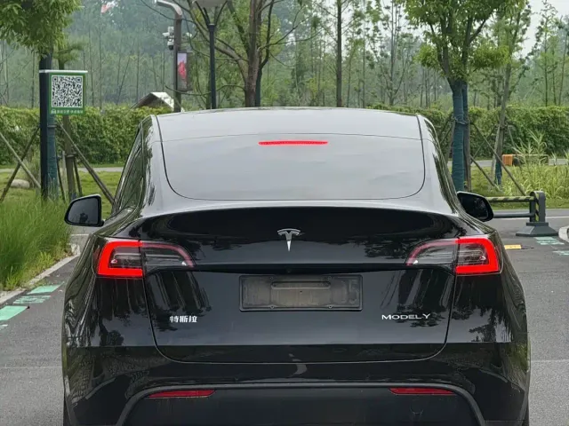 Tesla Model Y — Фото автомобиля 9