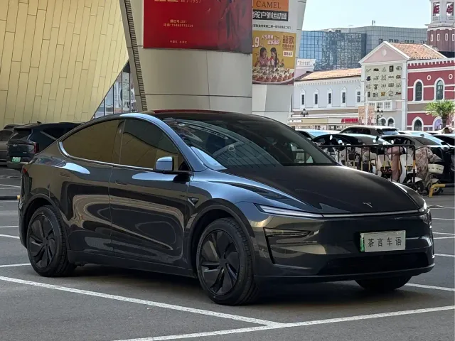 Tesla Model Y — Фото автомобиля 3