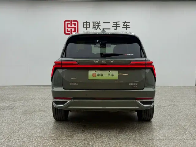 Wey Lanshan — Фото автомобиля 2